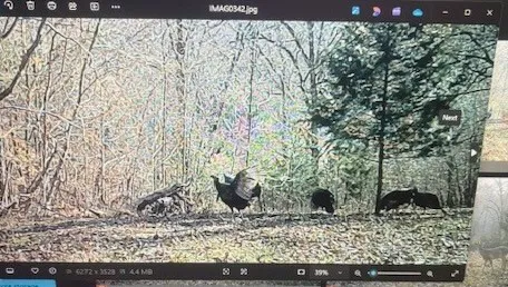 $650,000 | 475 Old Elkton Pike, Fayetteville, TN 37334