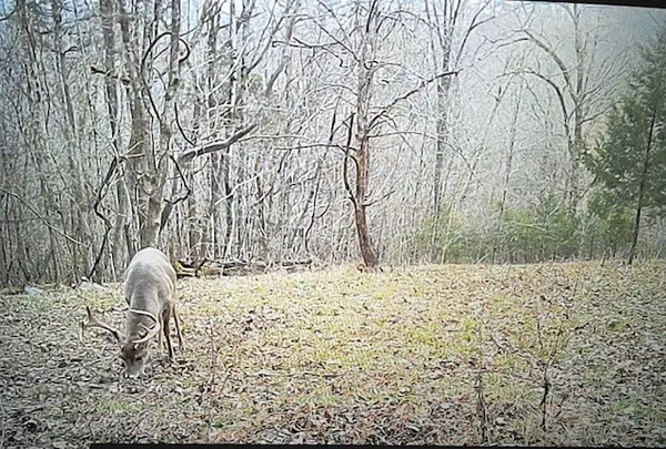 $650,000 | 475 Old Elkton Pike, Fayetteville, TN 37334