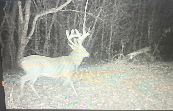 $650,000 | 475 Old Elkton Pike, Fayetteville, TN 37334