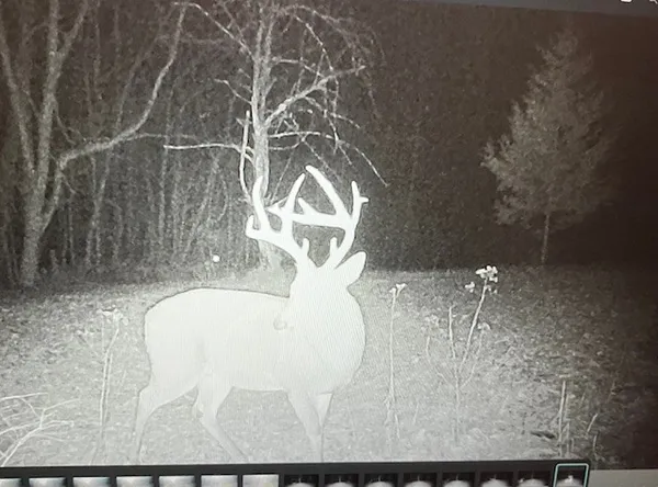 $650,000 | 475 Old Elkton Pike, Fayetteville, TN 37334