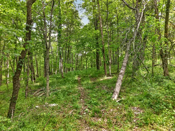 $650,000 | 475 Old Elkton Pike, Fayetteville, TN 37334