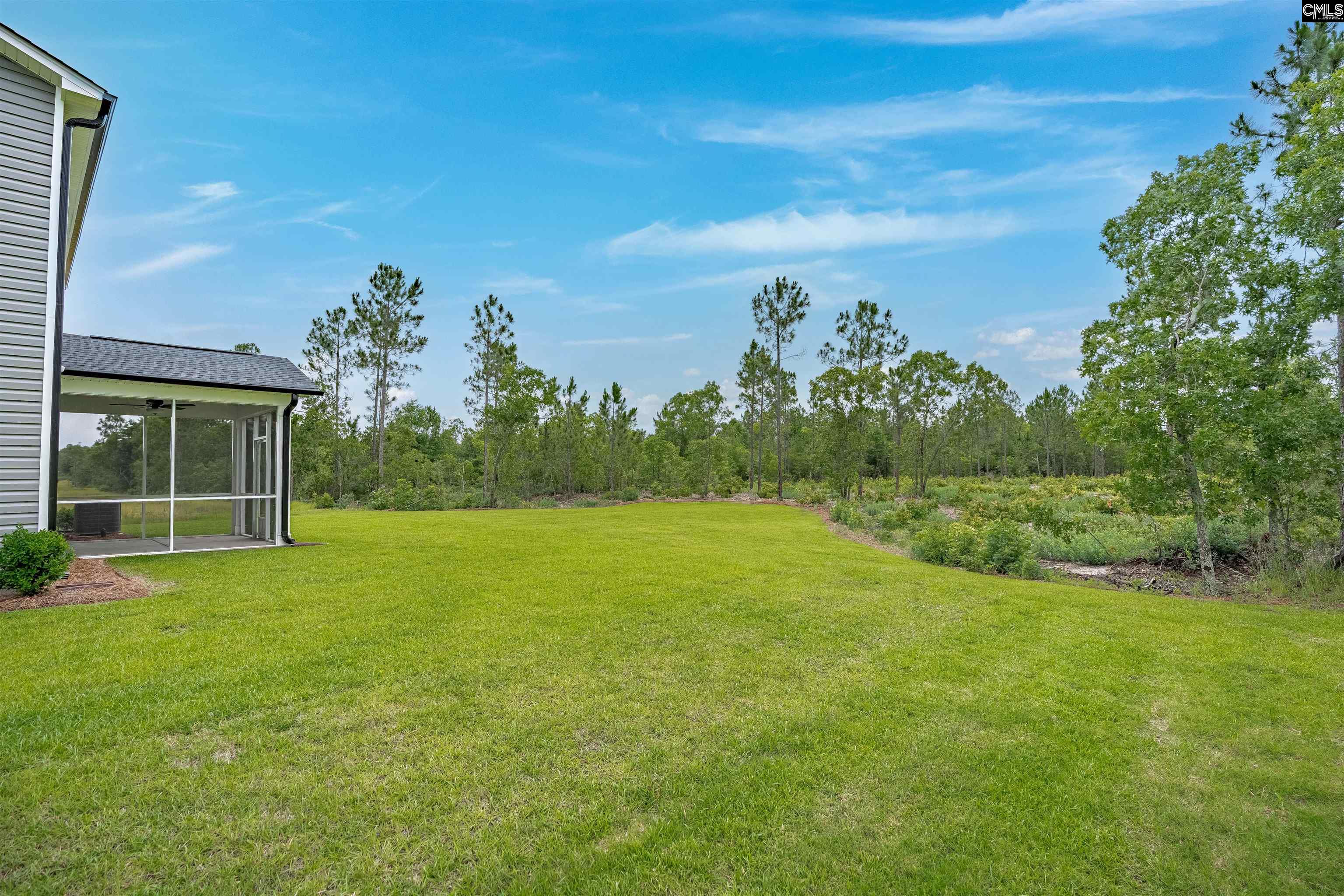 656 Old Charleston Road Pelion, SC 29123 - Photo 44 of 50