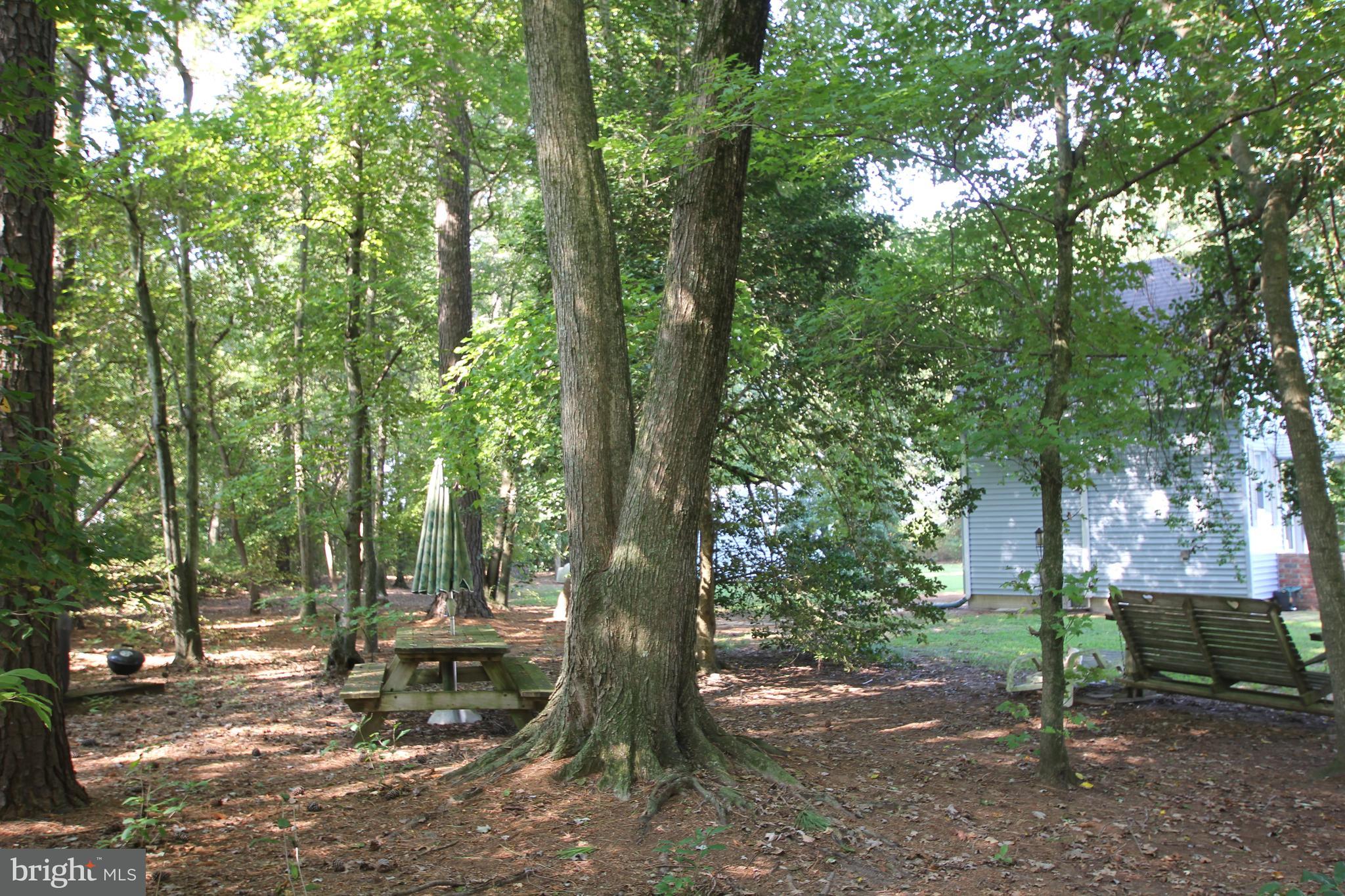 14154 Redden Road Bridgeville, DE 19933 - Photo 22 of 31 Sitting area in woods
