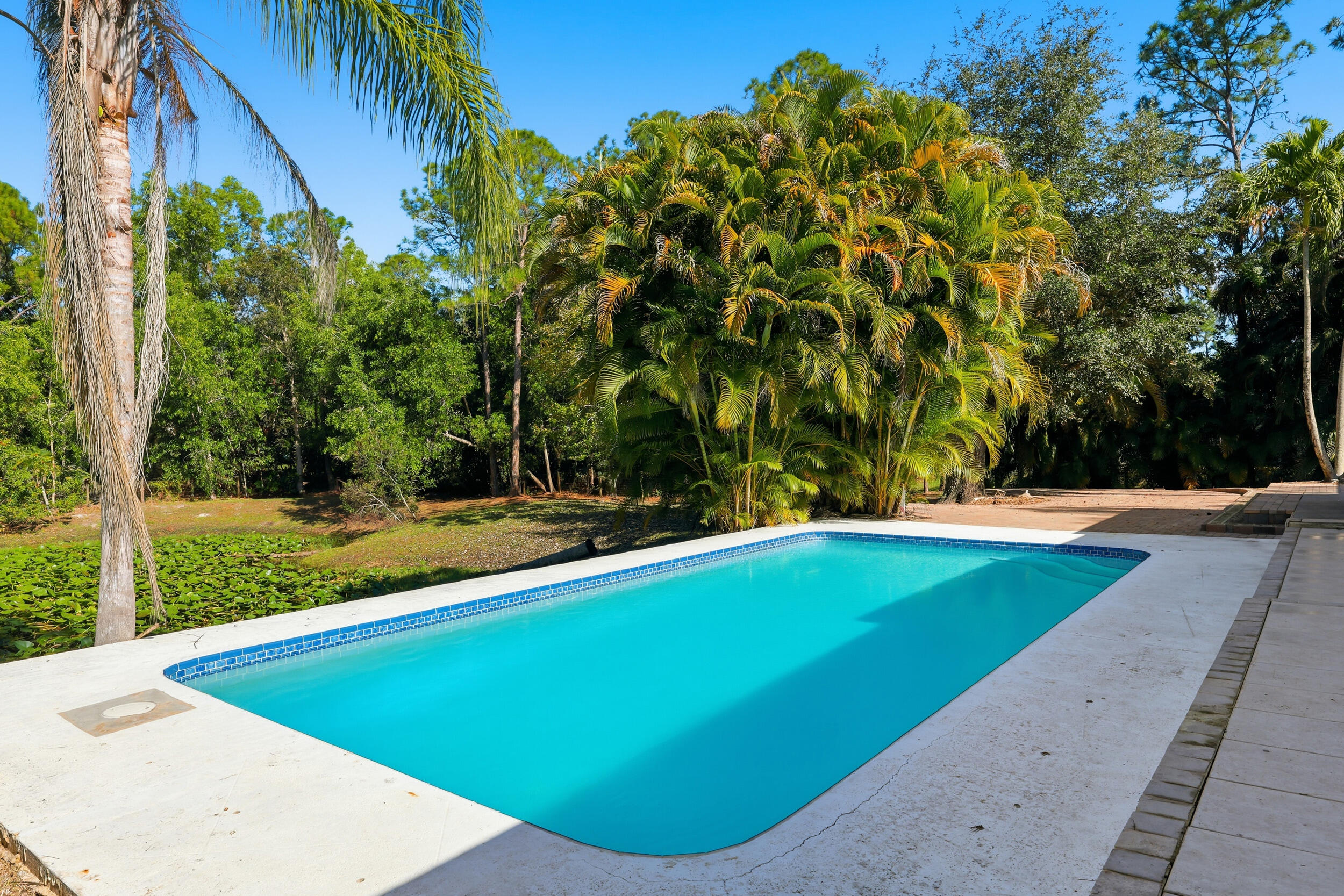 10297 Sandy Run Road Jupiter, FL 33478 - Photo 35 of 50 Pool