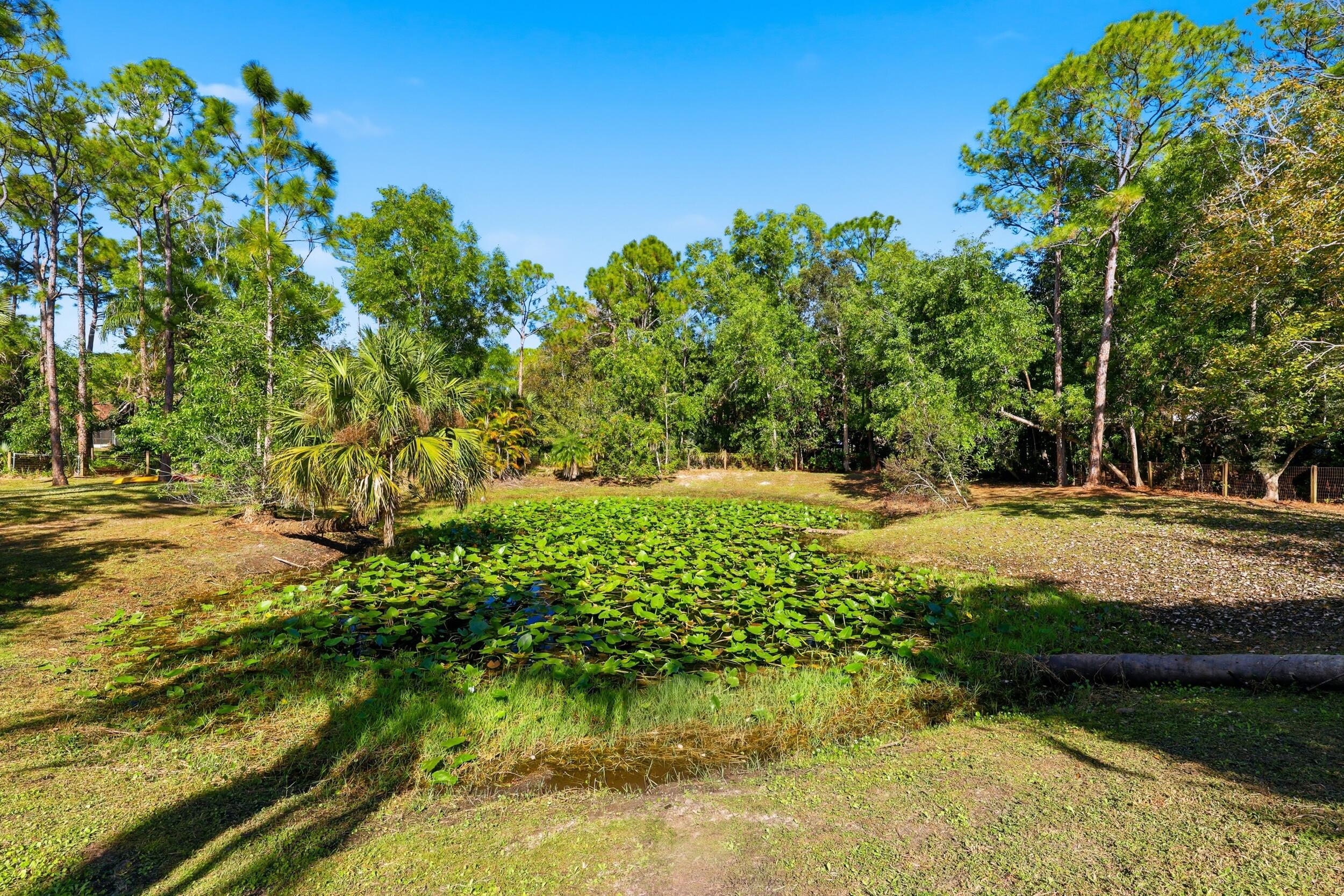 10297 Sandy Run Road Jupiter, FL 33478 - Photo 44 of 50 Pond