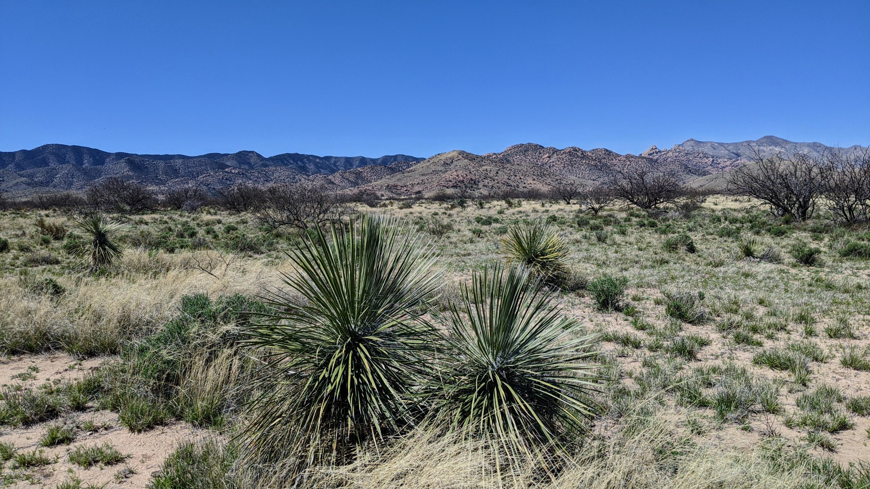 1.28 Acre On Pearce Road, Unit 19 Cochise, AZ 85606 - Photo 3 of 8