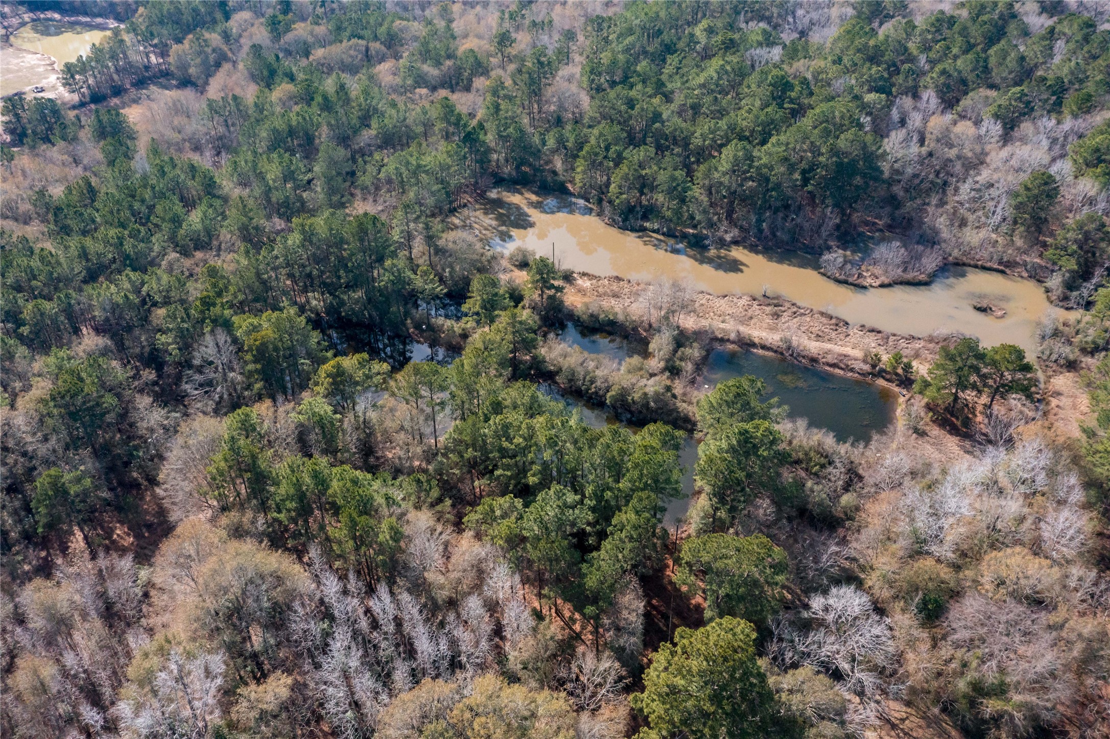 10388 Rutherford Circle Cleveland, TX 77328 - Photo 14 of 14