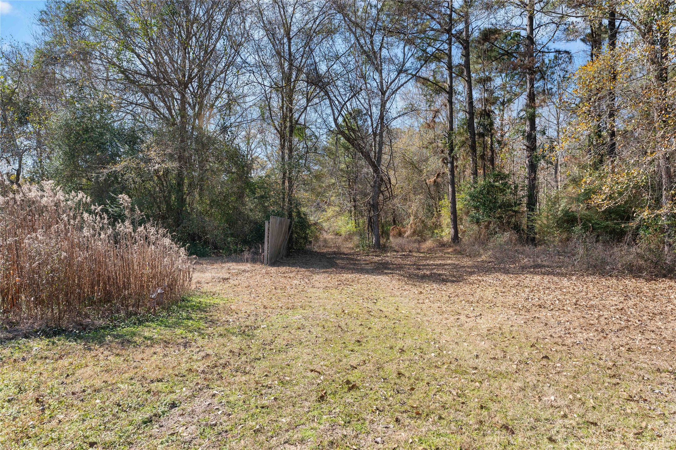 10388 Rutherford Circle Cleveland, TX 77328 - Photo 8 of 14 Open land behind the trailer, showcasing the usable space and potential of the acreage.