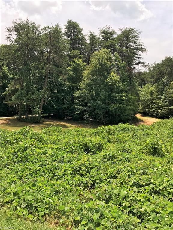 Lot 1 Eden Church Road Madison, NC 27025 - Photo 8 of 13 Gallery Image 8