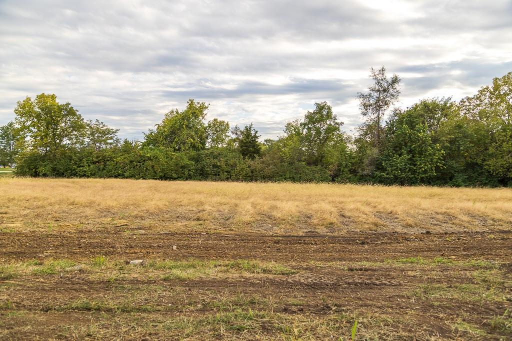 Lot 14 Timber Ridge Drive Peculiar, MO 64078 - Photo 18 of 24