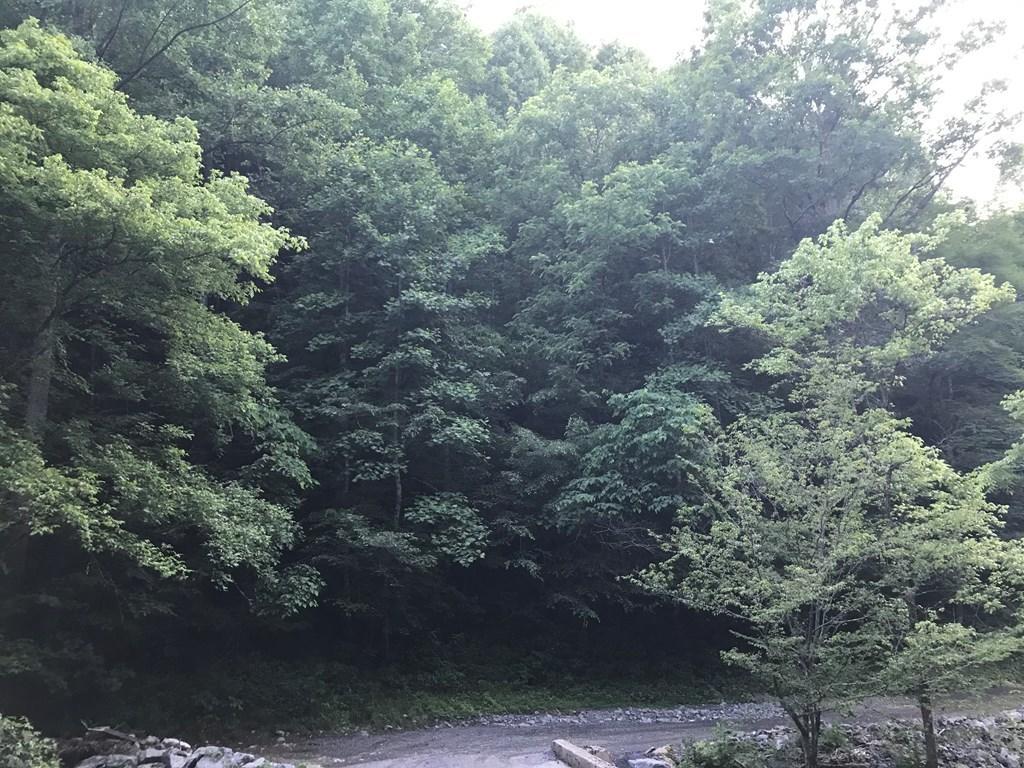 0 Black Sheep Hollow Road Eidson, TN 37731 - Photo 2 of 5 602531_1