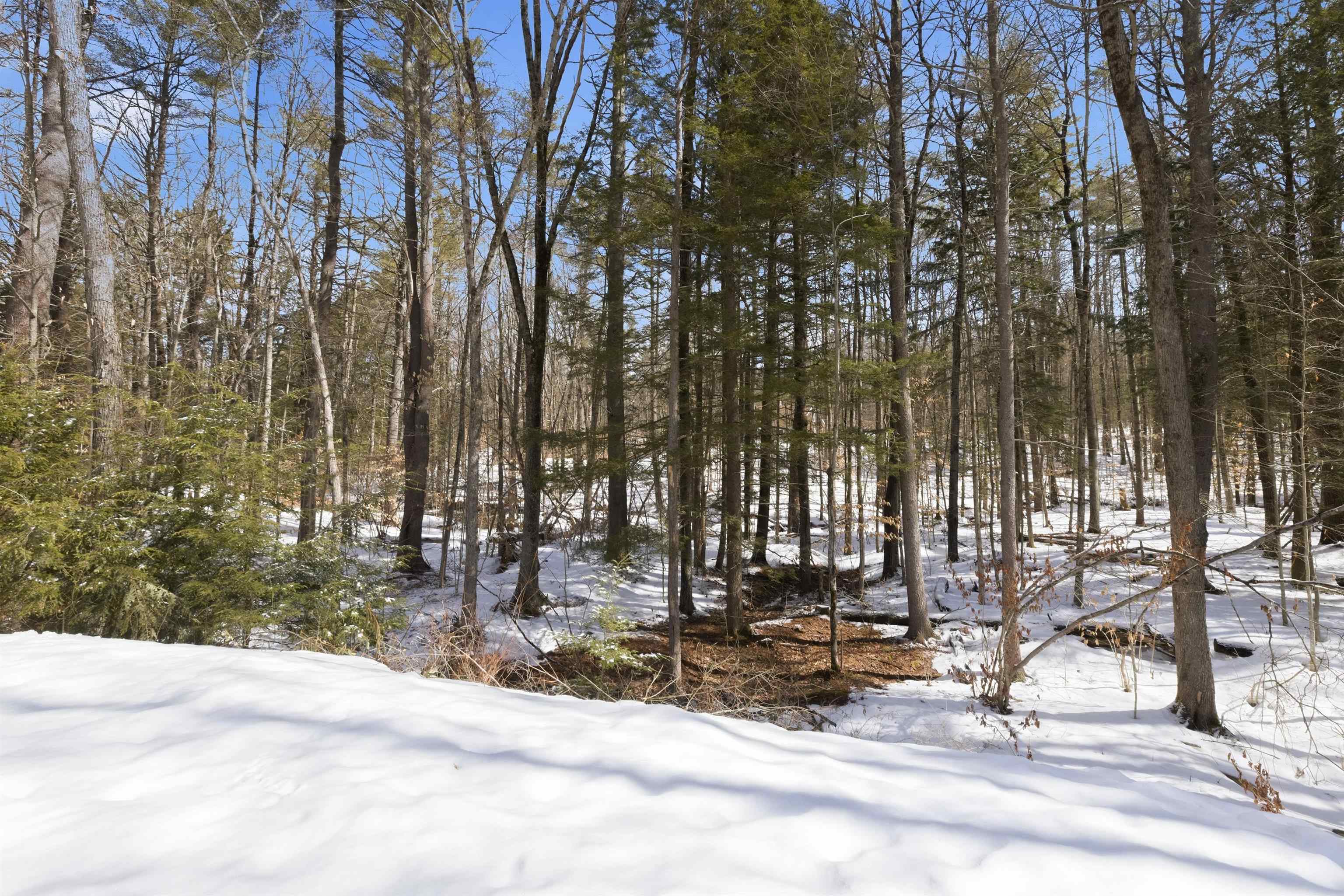 46 New Road, Unit 5 Salisbury, NH 03268 - Photo 11 of 53 Gallery Image 11