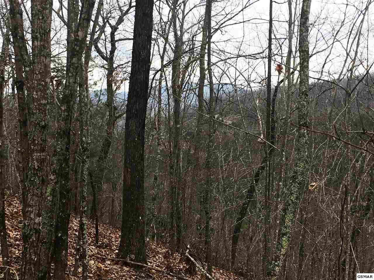 7 Stackstone Road Sevierville, TN 37862 - Photo 7 of 10