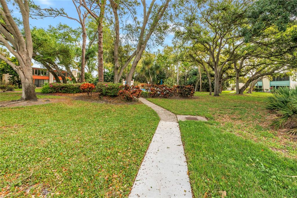 415 Spring Lakes Boulevard, Unit 415D Bradenton, FL 34210 - Photo 47 of 52 a view of a backyard with large trees