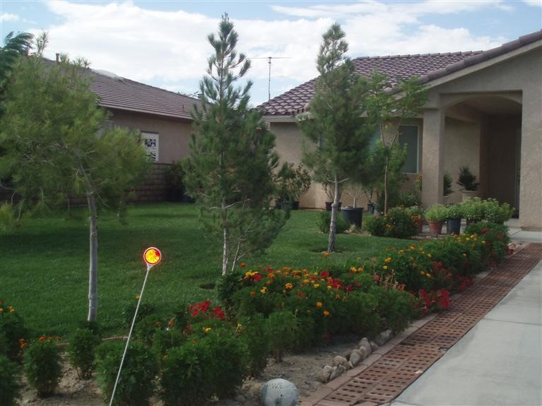 14800 Rivers Edge Road Helendale, CA 92342 - Photo 1 of 1 a view of a garden with a fountain