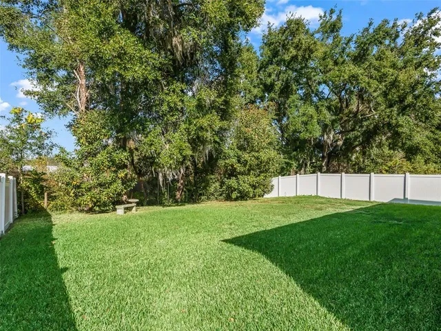 a view of a yard with large trees