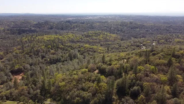 a view of a city with lush green forest