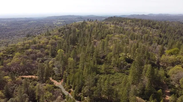 a view of a pathway with a yard