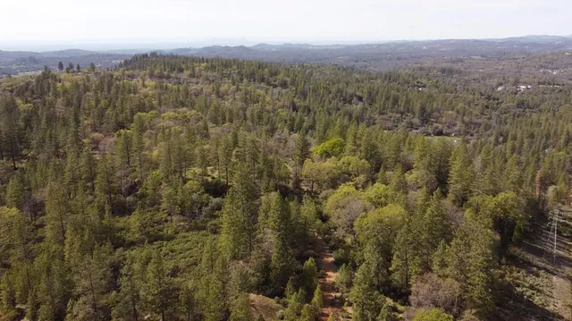 a view of a large yard with lots of green space