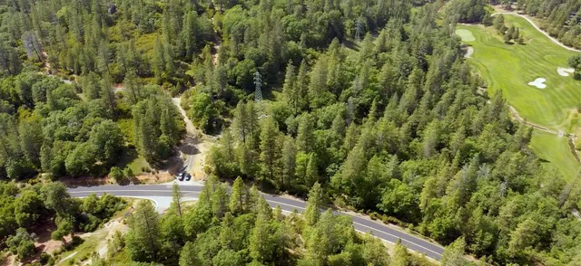 a view of a city with lush green forest