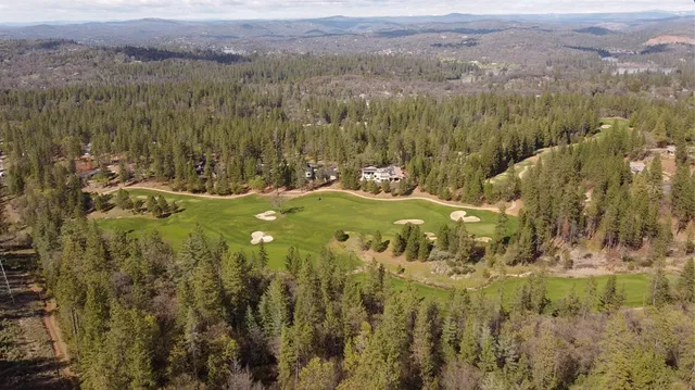 a view of a city with lush green forest