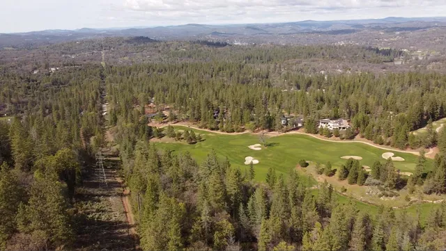 a view of a city with lush green forest