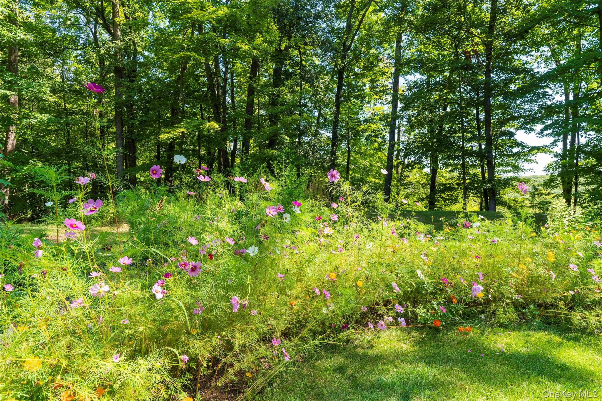 105 Iron Mountain Road Warwick, NY 10990 - Photo 12 of 49 a backyard of a house with lots of green space