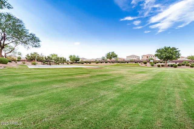 a view of a park with trees and grass