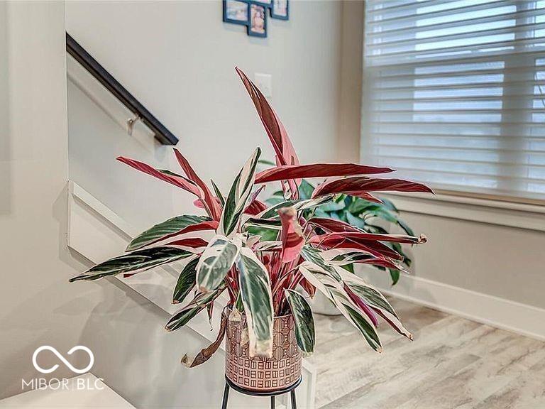 2579 Filson Street Carmel, IN 46032 - Photo 3 of 17