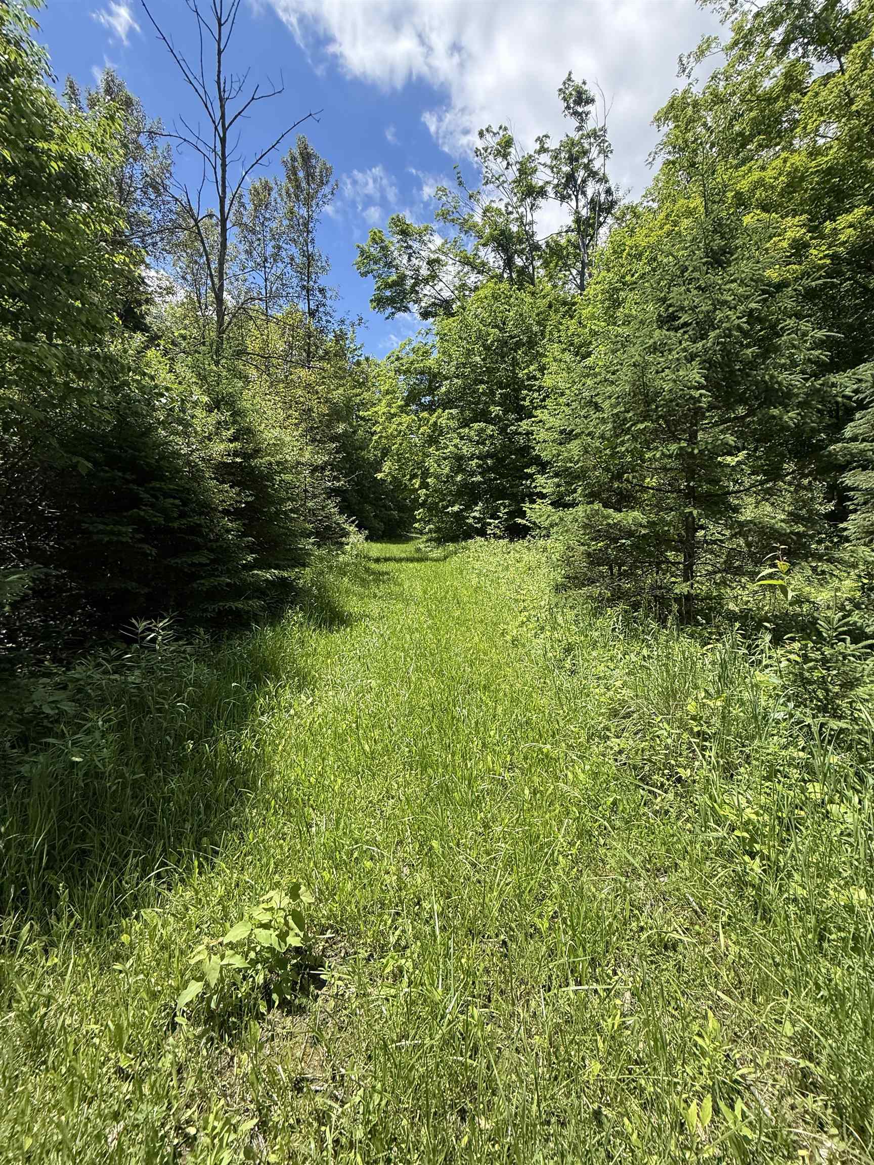 V/l Farrier Road Hillman, MI 49746 - Photo 10 of 26