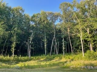 Lot 37 Lucille Merrimac, WI 53561 - Photo 7 of 10