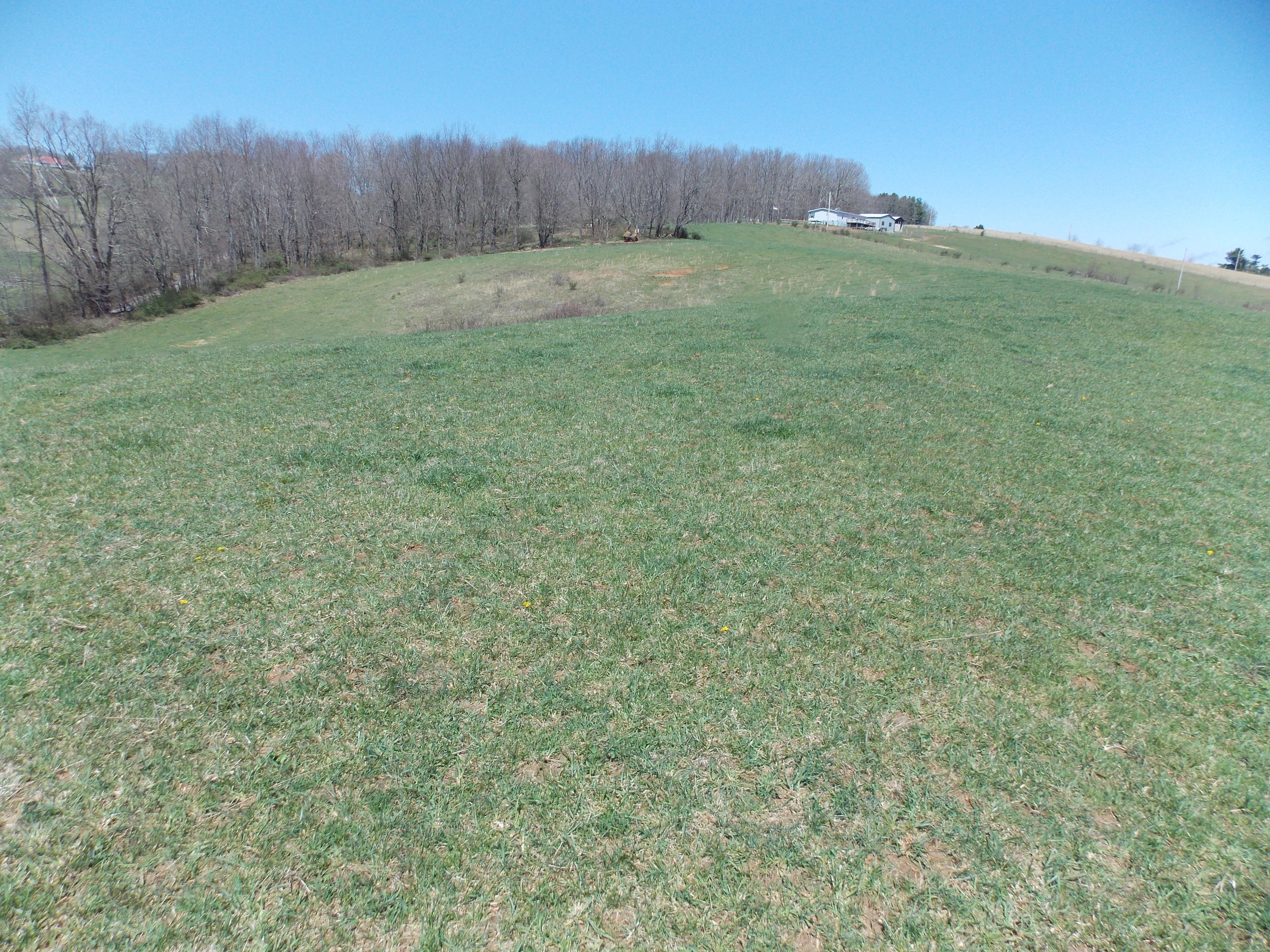Lot 7 Double Springs Road Northeast Check, VA 24072 - Photo 3 of 11 a view of a back yard