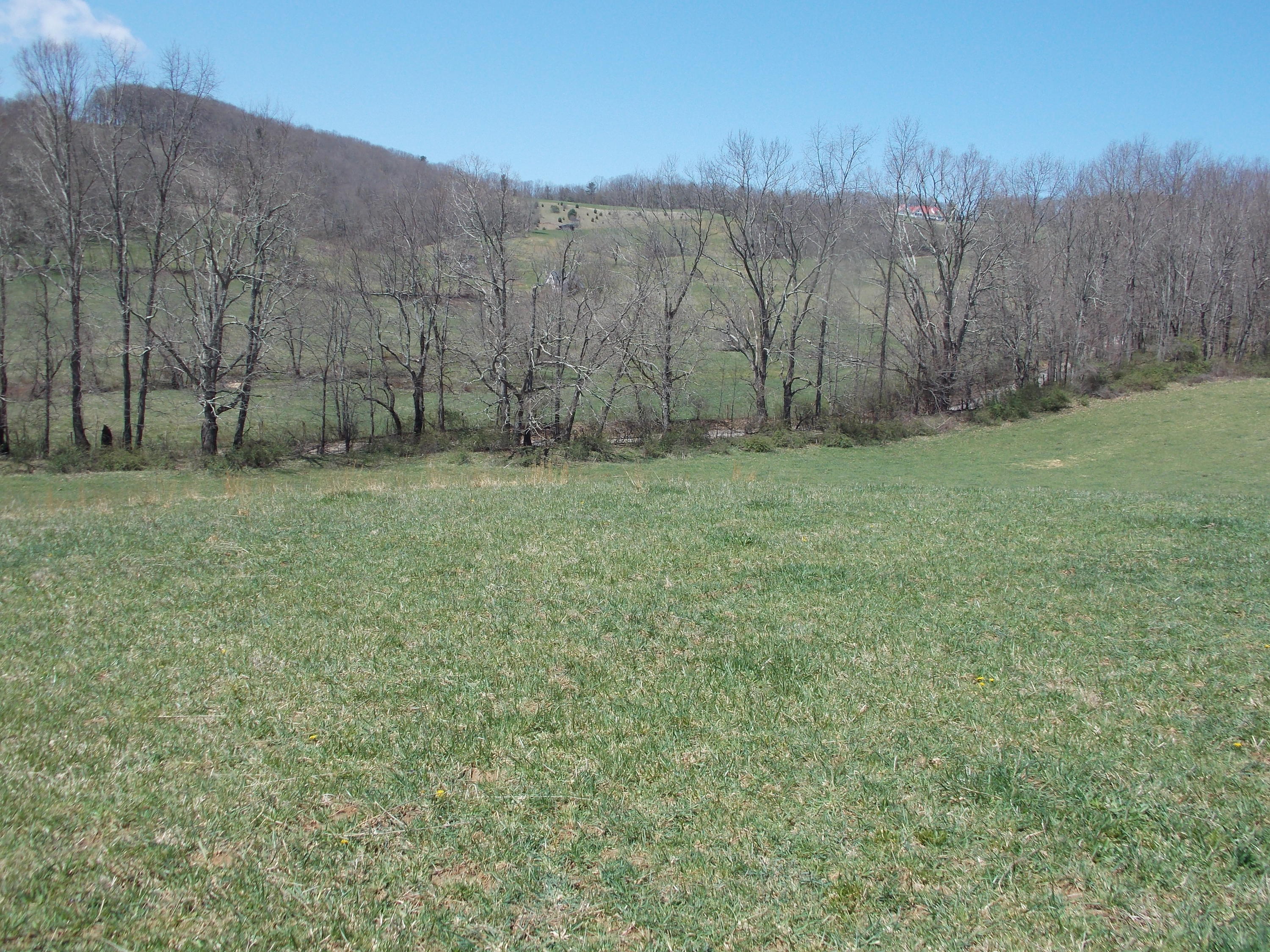 Lot 7 Double Springs Road Northeast Check, VA 24072 - Photo 5 of 11 a view of a backyard with large trees