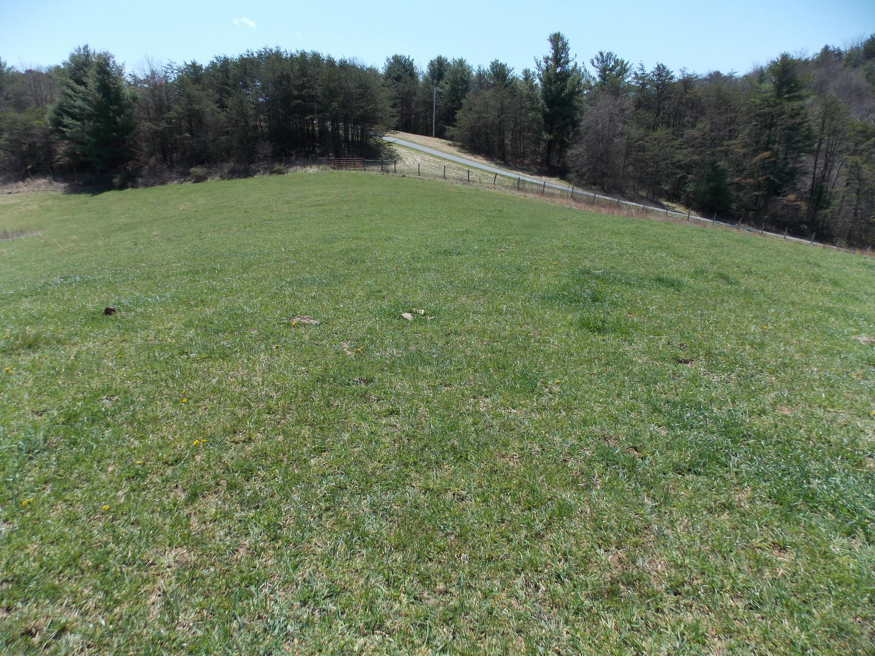 Lot 7 Double Springs Road Northeast Check, VA 24072 - Photo 6 of 11 a view of a grassy field with trees in the background