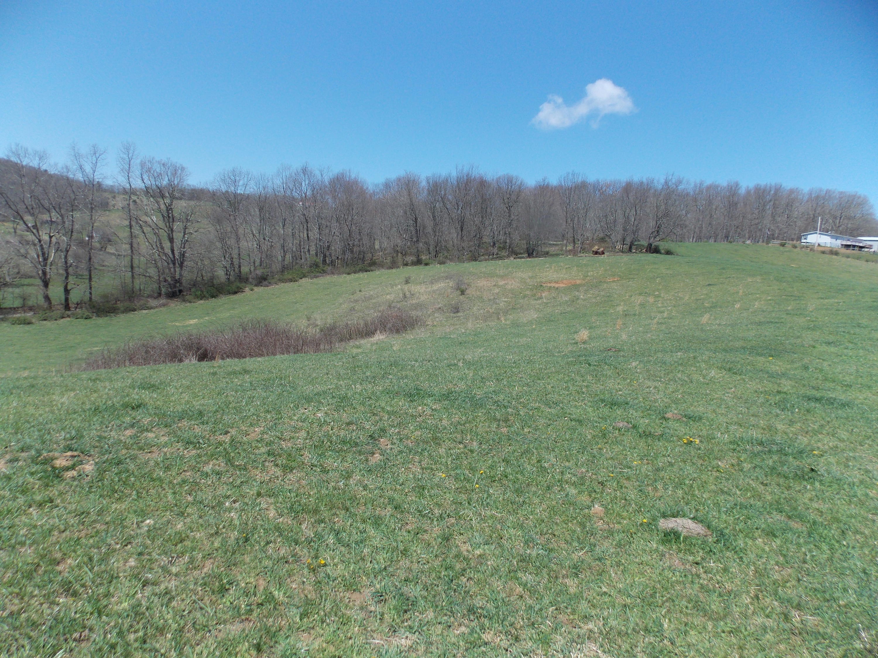 Lot 7 Double Springs Road Northeast Check, VA 24072 - Photo 8 of 11 a view of a backyard