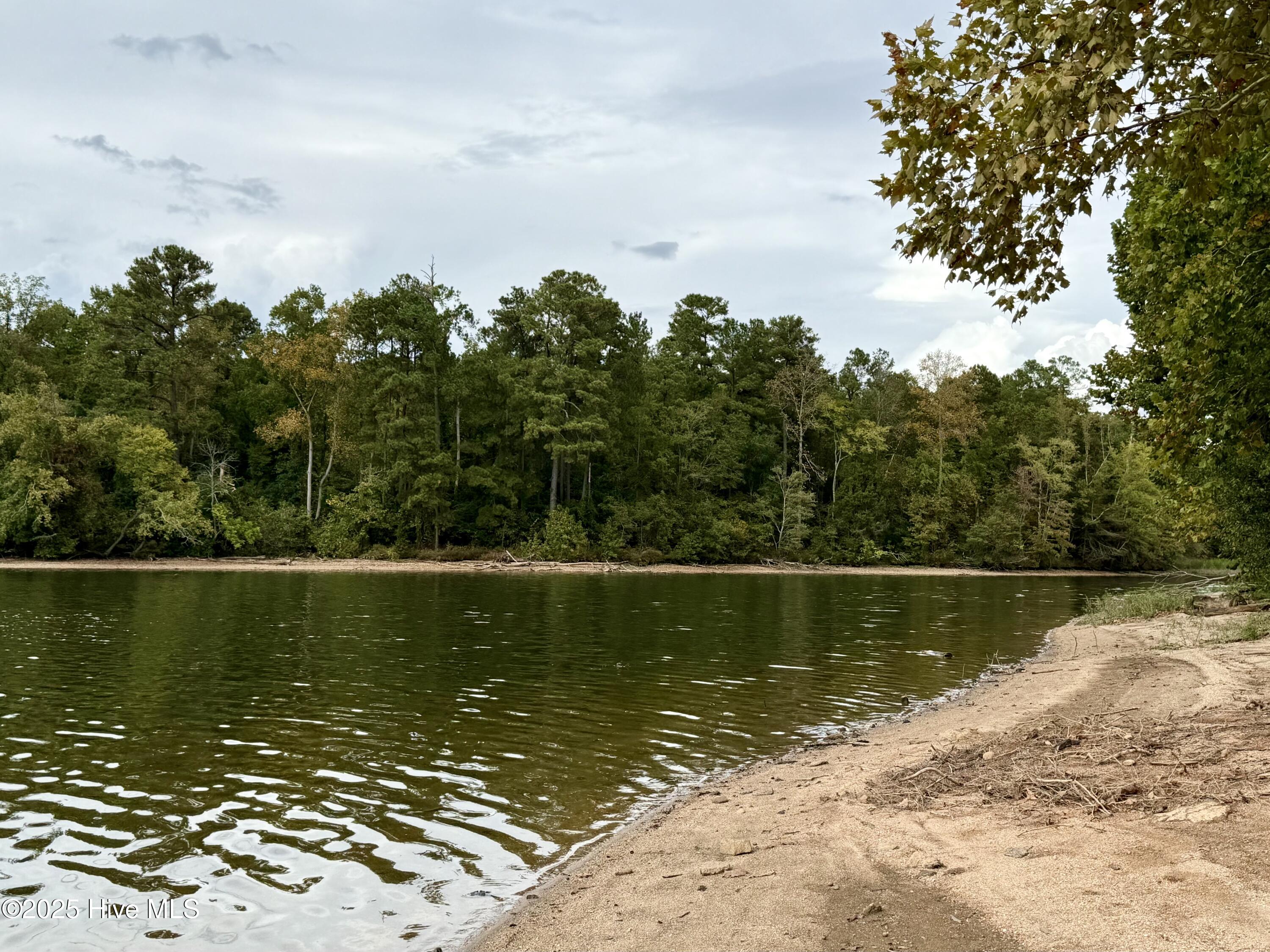 345 North State Lane Rockingham, NC 28379 - Photo 11 of 12 more lake views