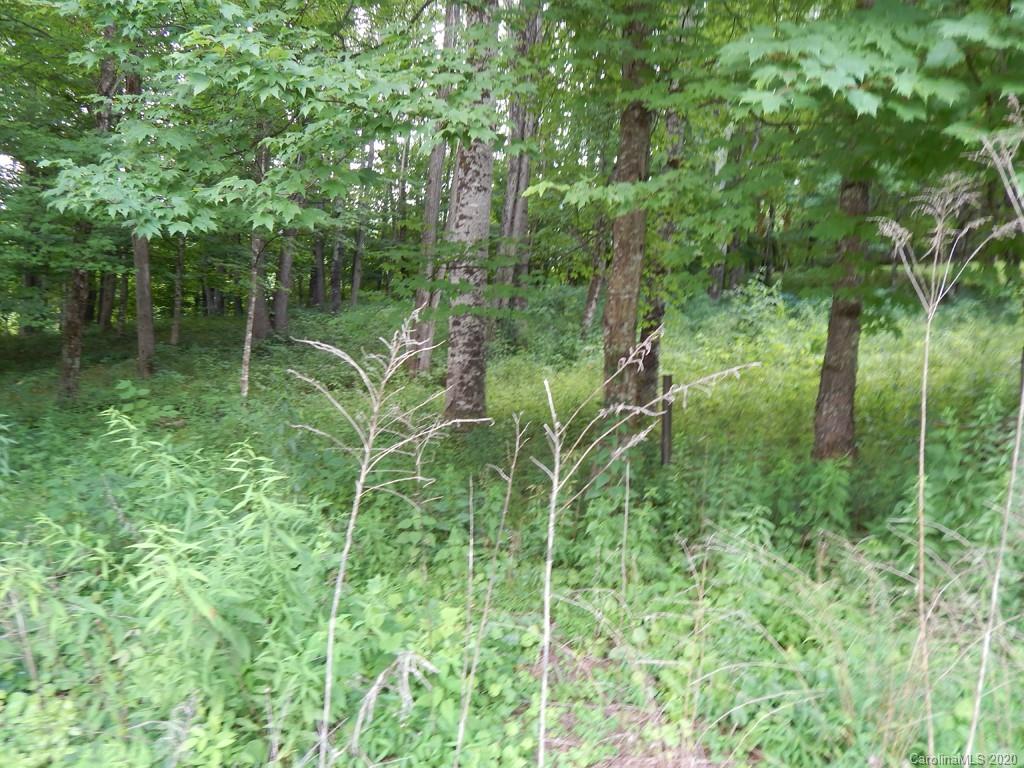 0 Saunook Road Waynesville, NC 28786 - Photo 1 of 11 a view of a garden