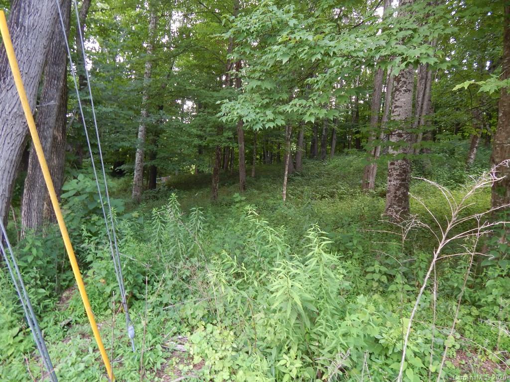 0 Saunook Road Waynesville, NC 28786 - Photo 3 of 11 a backyard of a house with lots of green space and a fountain
