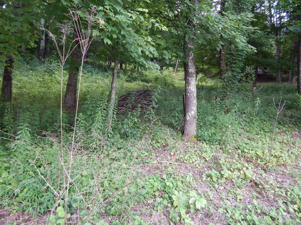 0 Saunook Road Waynesville, NC 28786 - Photo 5 of 11 a view of a forest