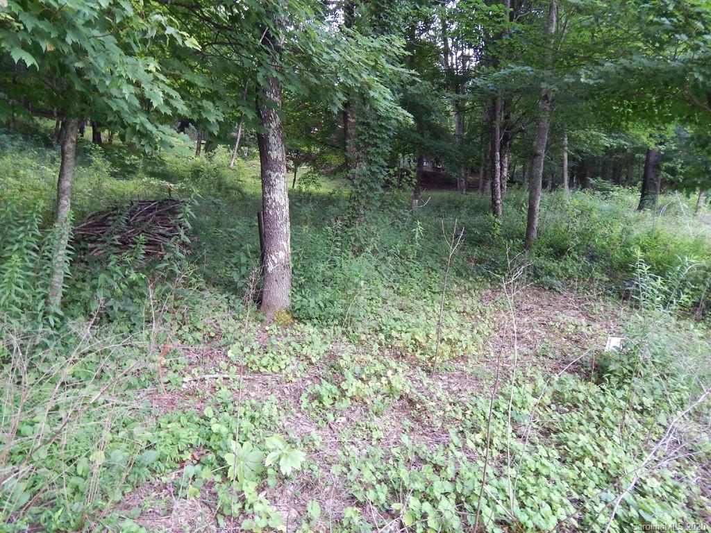 0 Saunook Road Waynesville, NC 28786 - Photo 6 of 11 a view of outdoor space and green space