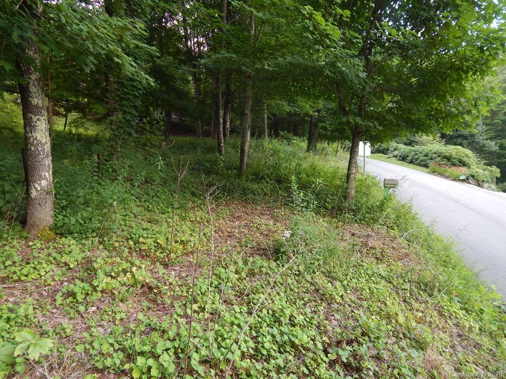 0 Saunook Road Waynesville, NC 28786 - Photo 8 of 11 a view of a garden