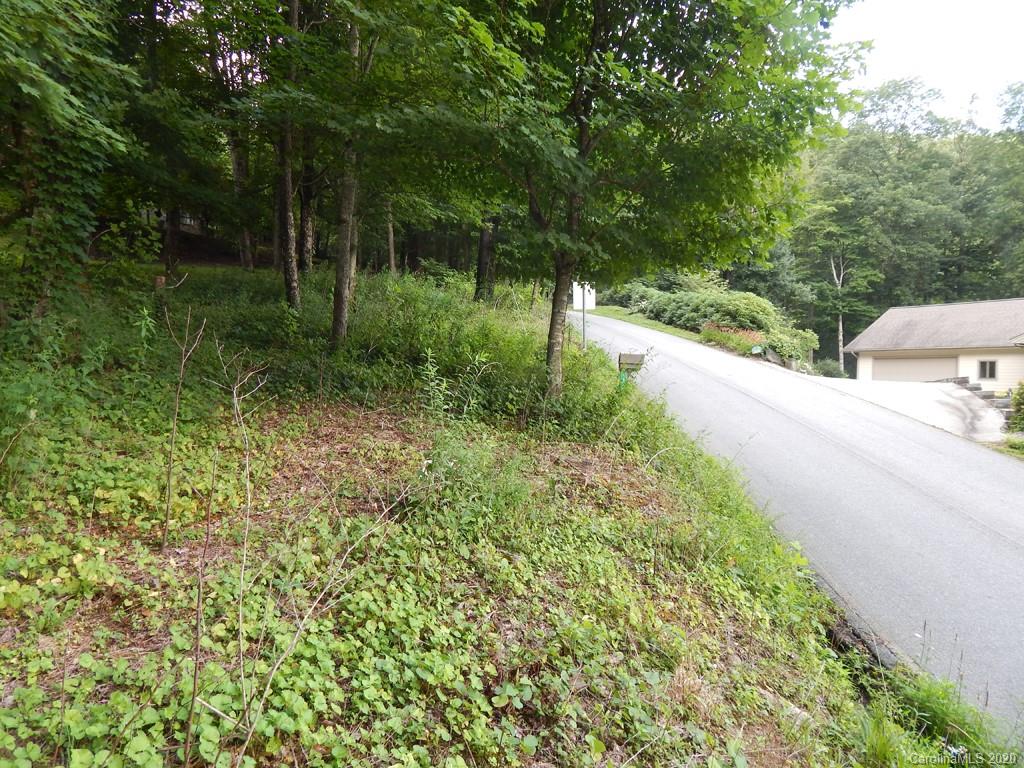 0 Saunook Road Waynesville, NC 28786 - Photo 9 of 11