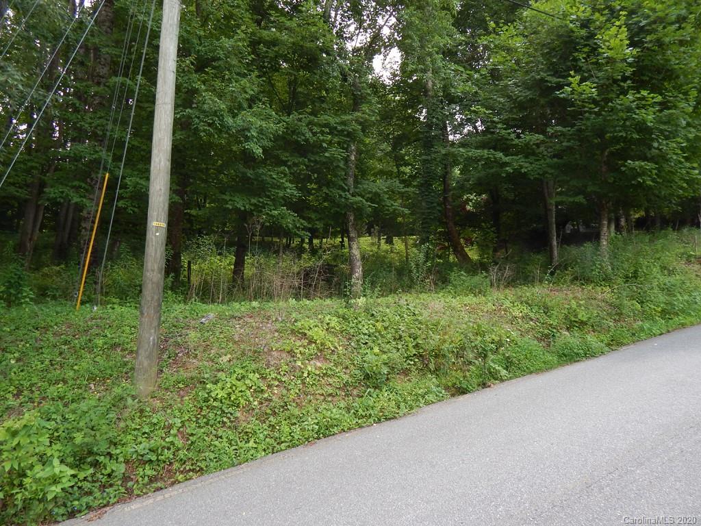 0 Saunook Road Waynesville, NC 28786 - Photo 10 of 11 a view of a garden