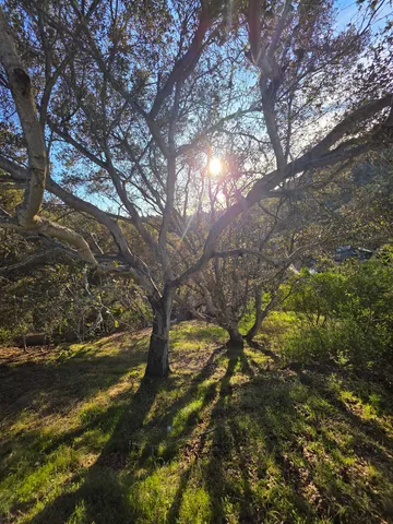 $150,000 | 0 Longfellow Drive, Belmont, CA 94002