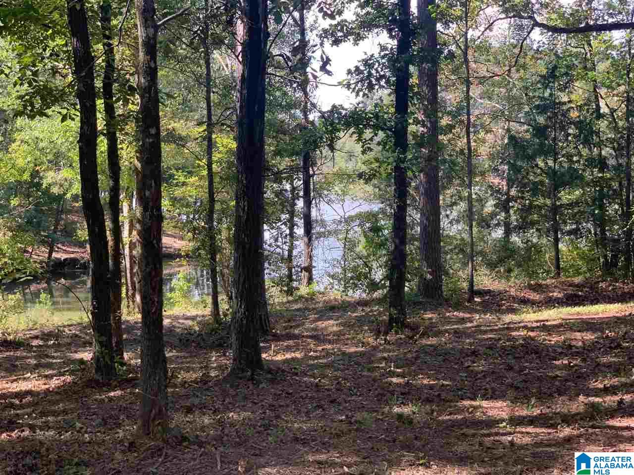 0 Embry Bend Road, Unit 1 Lincoln, AL 35096 - Photo 11 of 15