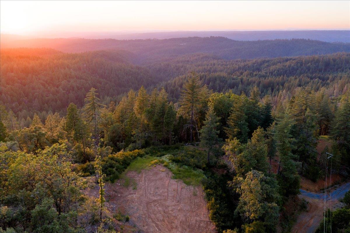 3280 Chipmunk Trail Georgetown, CA 95634 - Photo 11 of 35 a view of a city with lush green forest