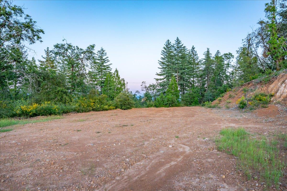 3280 Chipmunk Trail Georgetown, CA 95634 - Photo 13 of 35 a view of a field with trees in the background