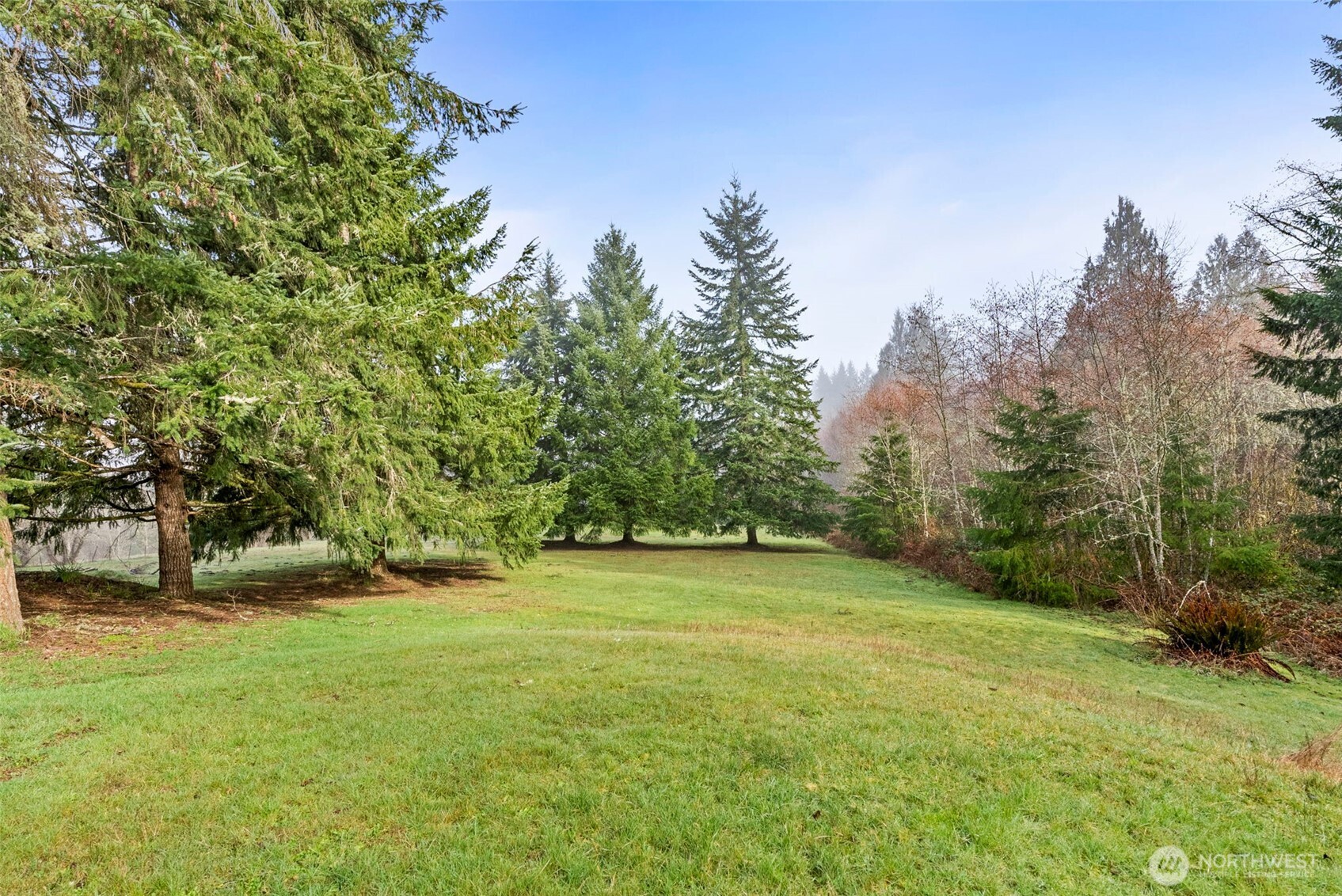 104 Sun Valley Drive Chehalis, WA 98532 - Photo 21 of 29 a view of a field with trees in the background