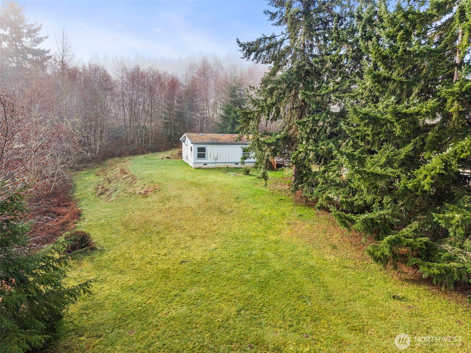 104 Sun Valley Drive Chehalis, WA 98532 - Photo 24 of 29 a backyard of a house with a yard and large trees