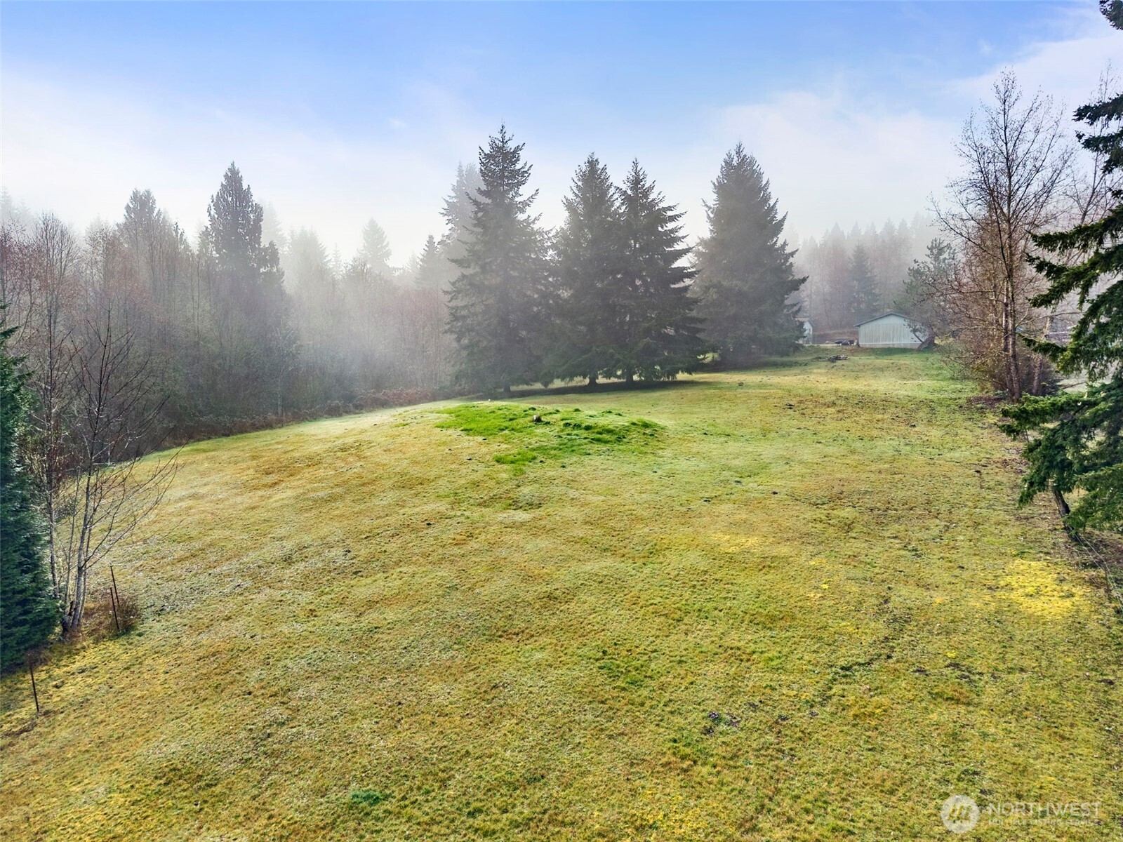104 Sun Valley Drive Chehalis, WA 98532 - Photo 25 of 29 a view of yard with trees
